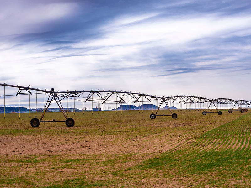 2022-water-salinity.jpg Irrigation system in an open field.