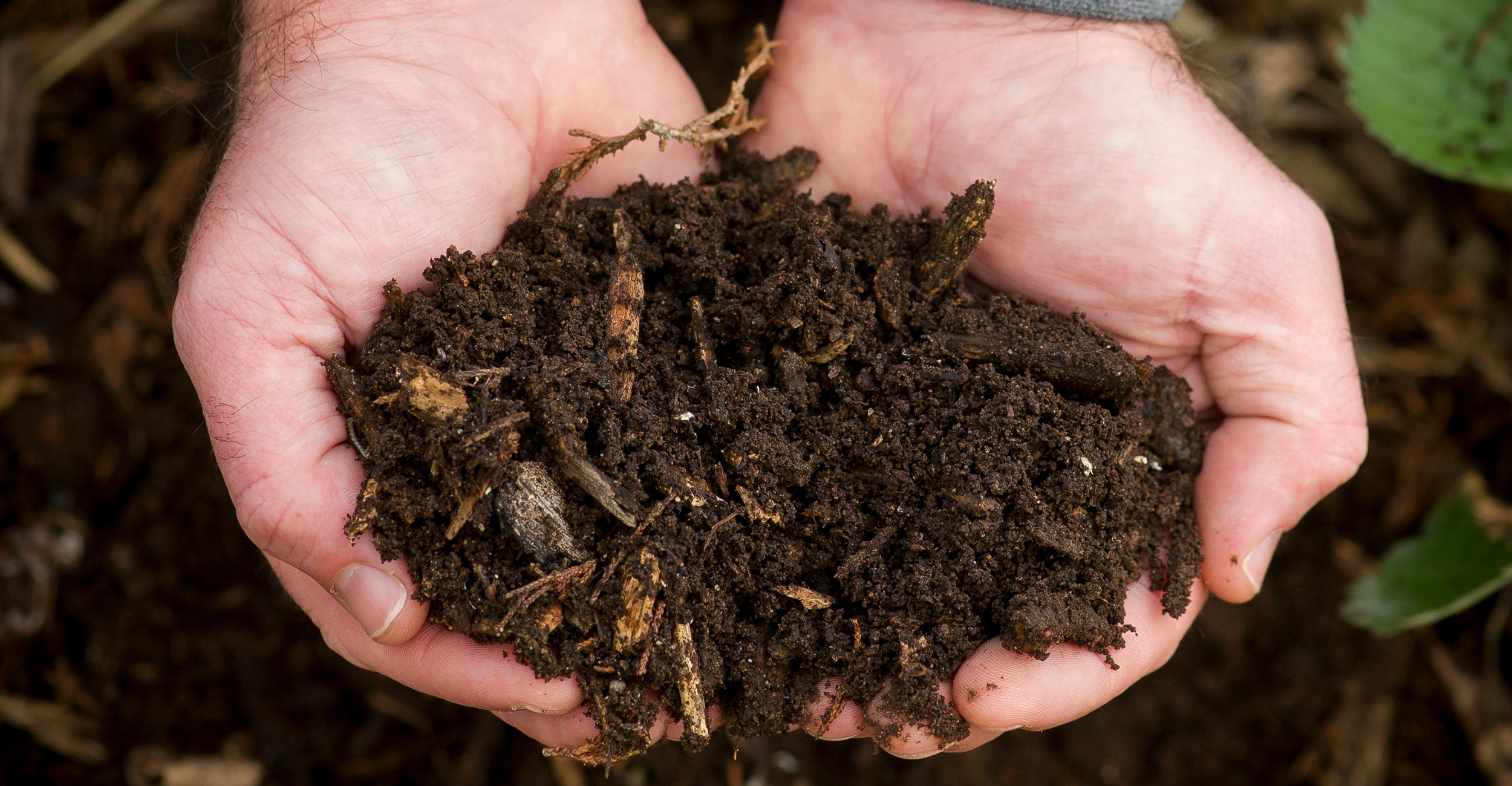 soil research