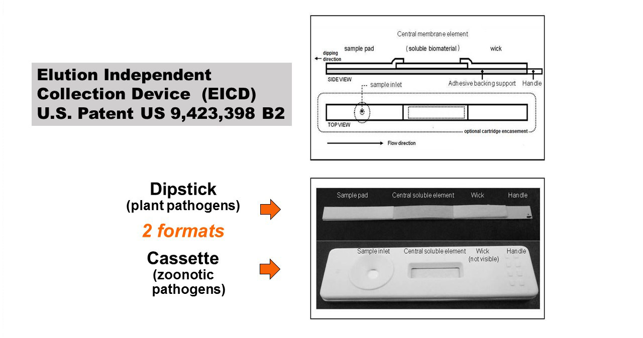 Elution Independent Collection Device Patent