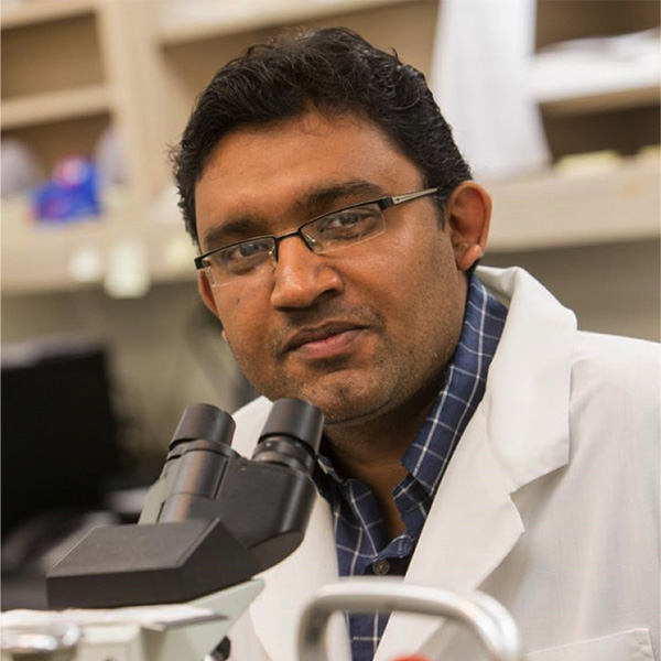 Akhilesh Ramachandran