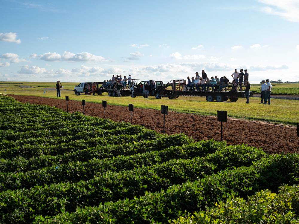 A group gathered on flat bed trailers around a planted field. A group gathered on flat bed trailers around a planted field.