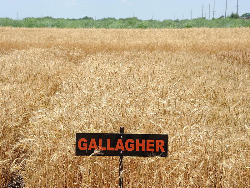 A sign which says