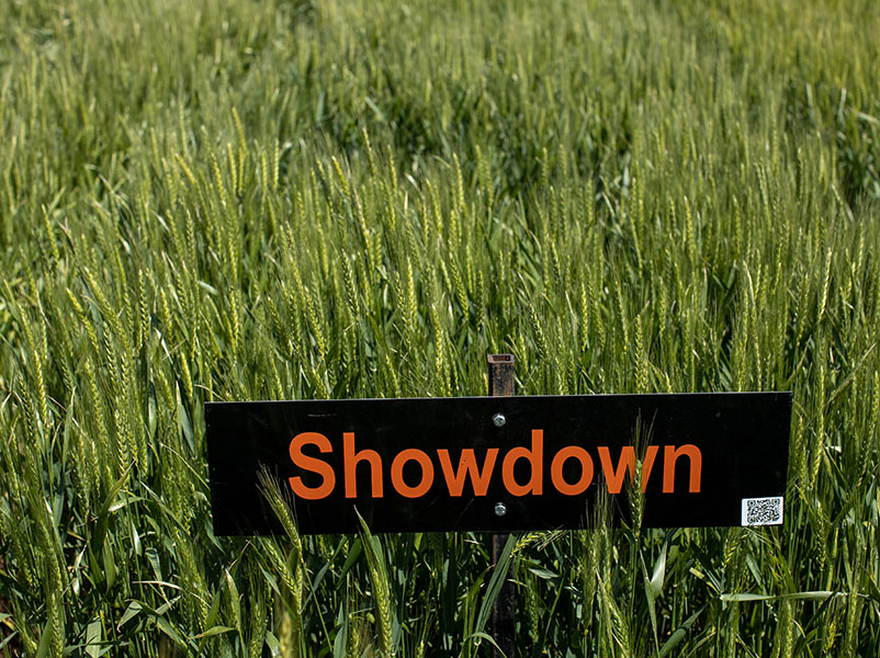 A sign which says