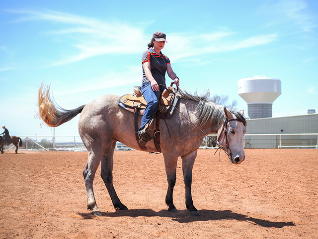 Herd manager Marissa Chapa on a horse.