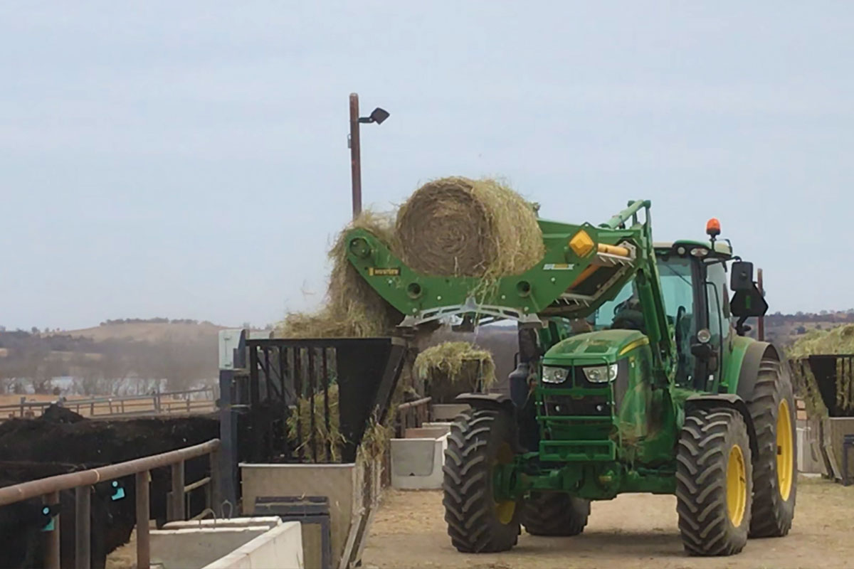 A tractor feeding hay at the north range.