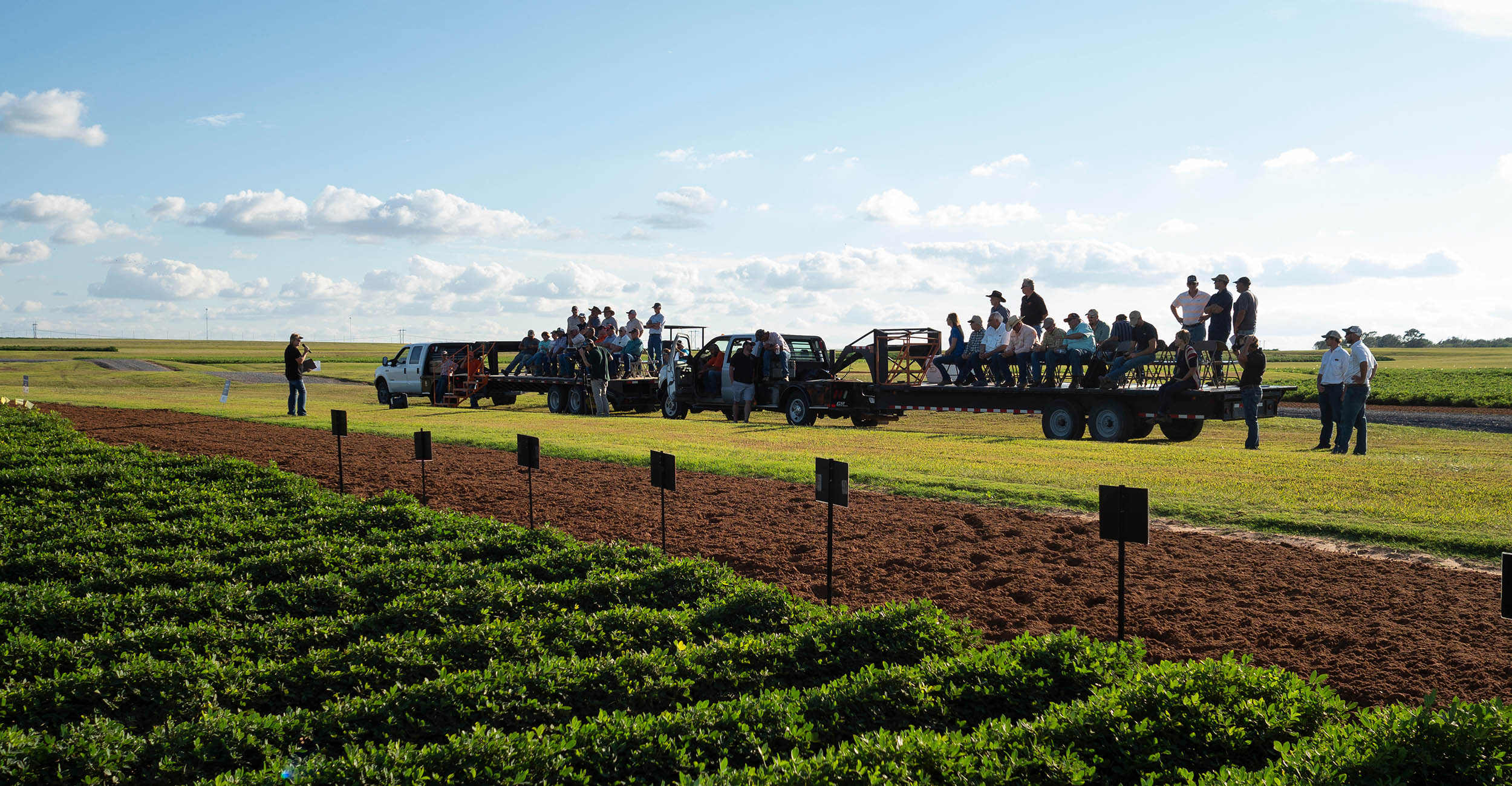 2022-field-days.jpg Participants out in a crop field at a Field Days event.