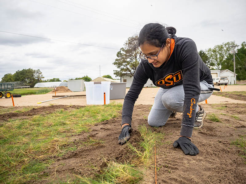 A graduate student spreading turfgrass soil