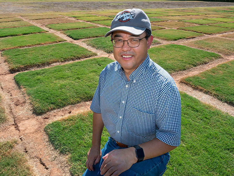 Yanqi Wu at the OSU turfgrass fields