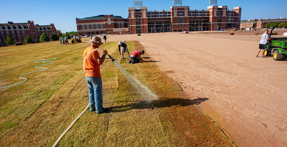Patriot turfgrass Patriot turfgrass