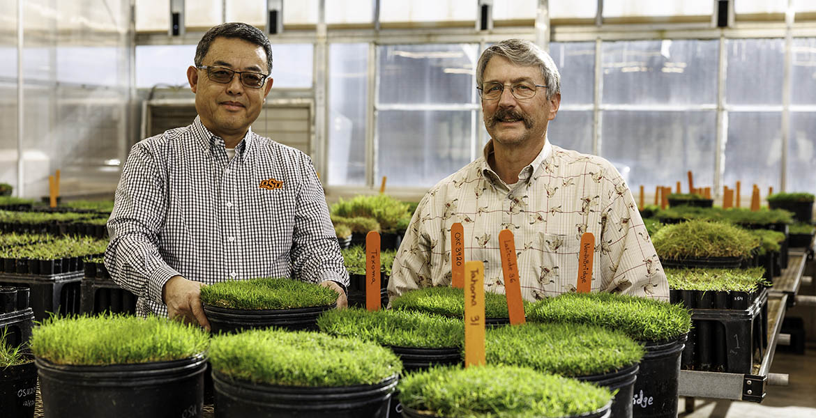 Yanqi Wu and Dennis Martin with popular Oklahoma State University trufgrass varieties Yanqi Wu and Dennis Martin with popular Oklahoma State University trufgrass varieties