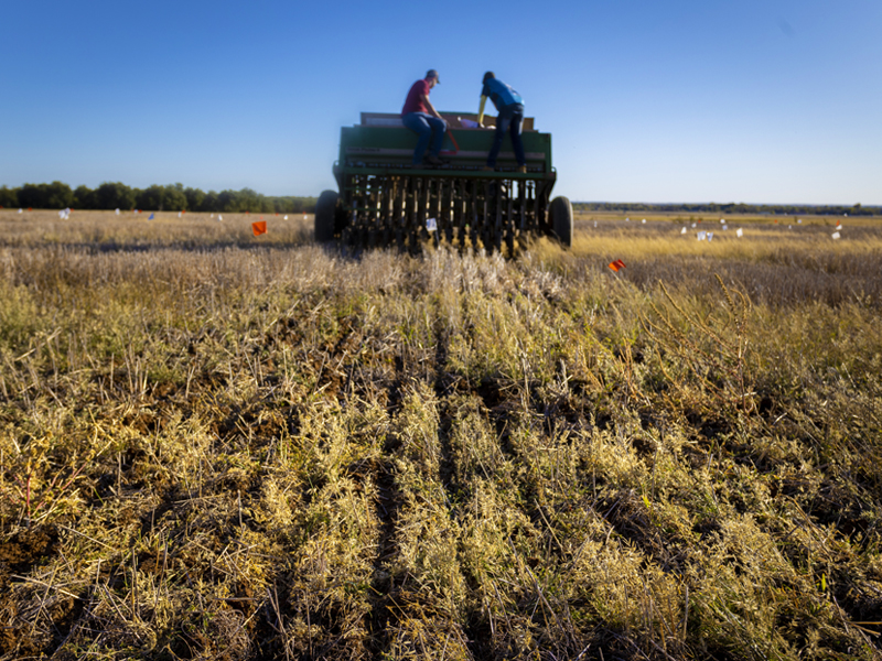 Two people on a tractor, harvesting a field. 