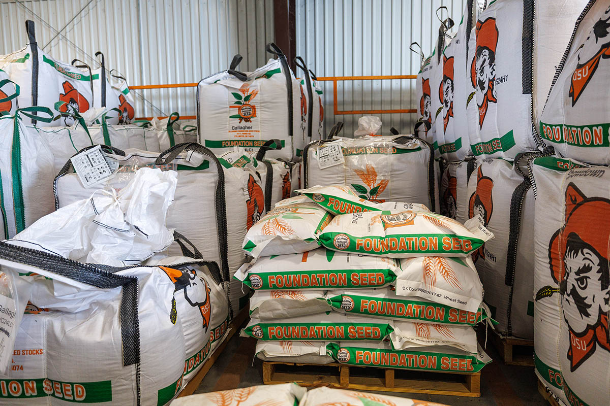 Bags of seed at the foundation seed stocks facility