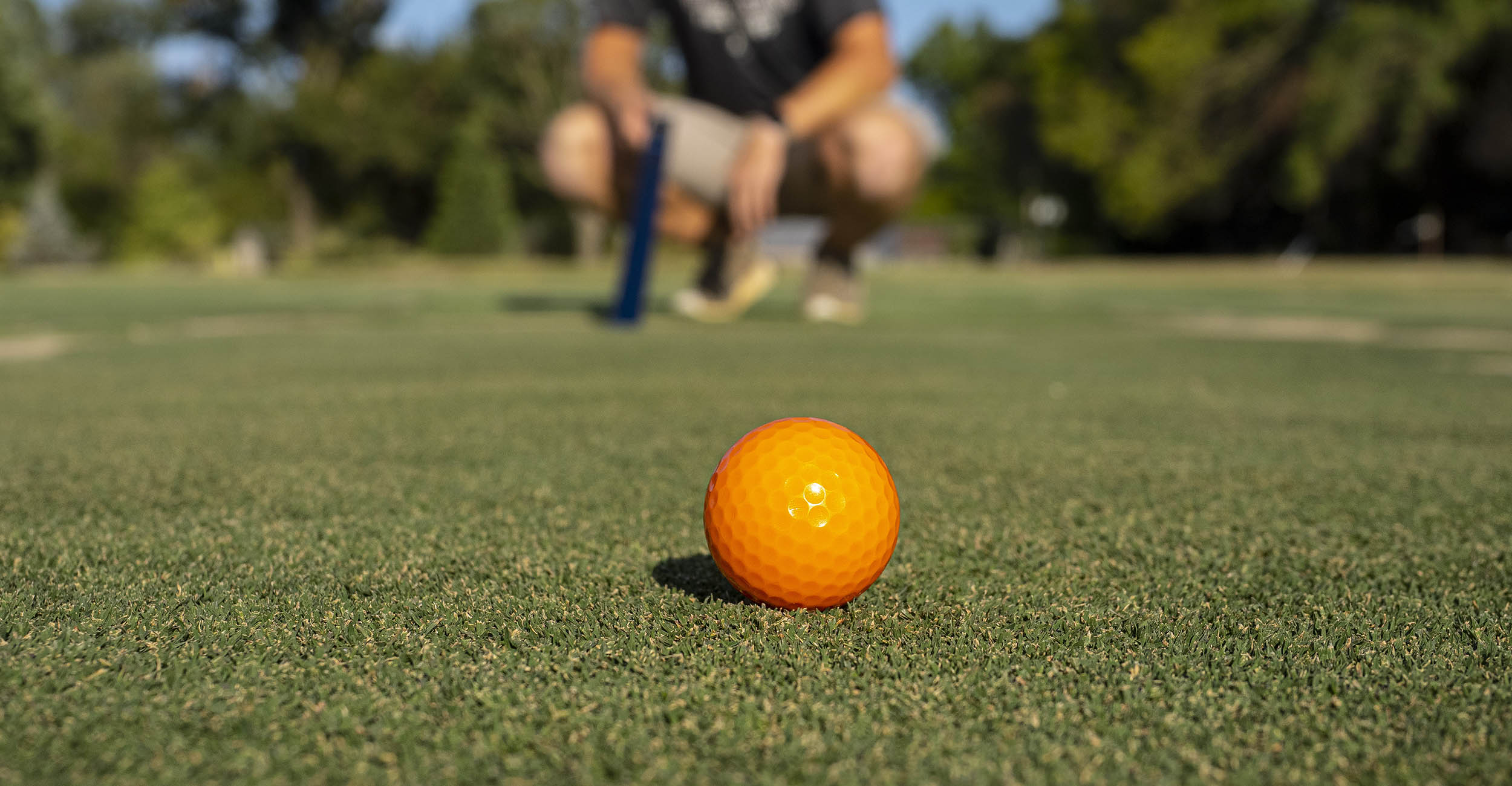 osu-turf-lead2