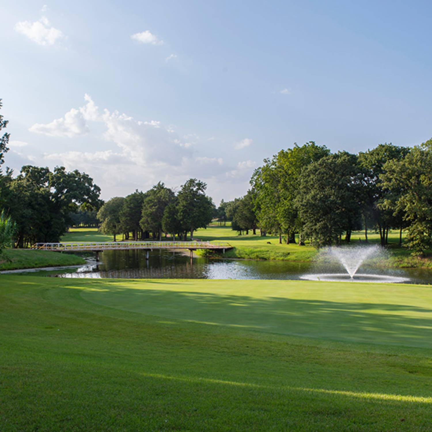 Bermudagrass turf. 