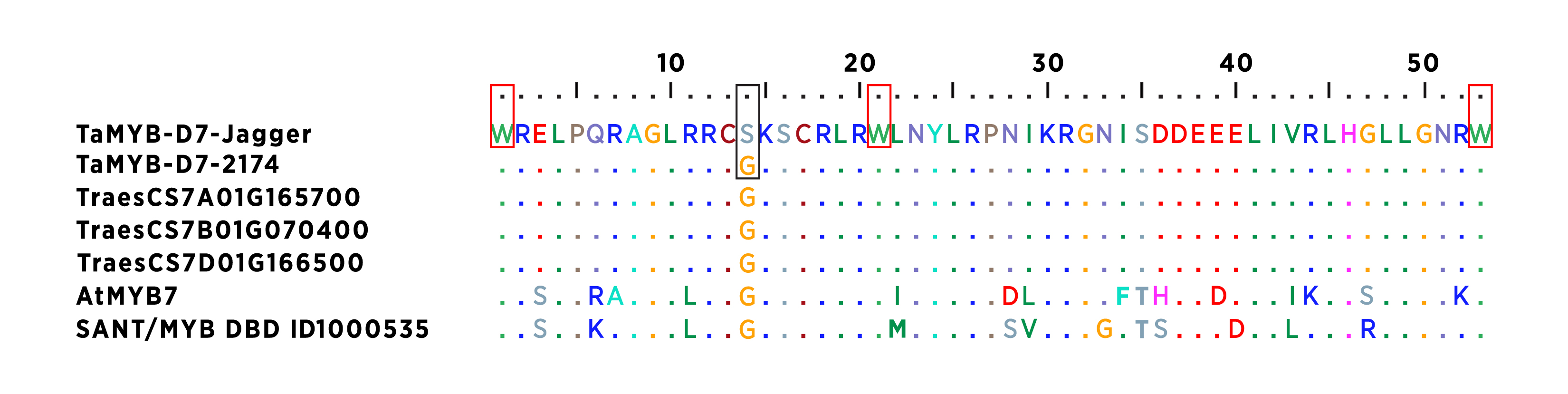 Data sequences for TaMYB-D7.