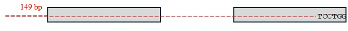 TaMYB-A7-ED1 sequence.