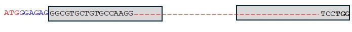TaMYB-A7-ED2 sequence.