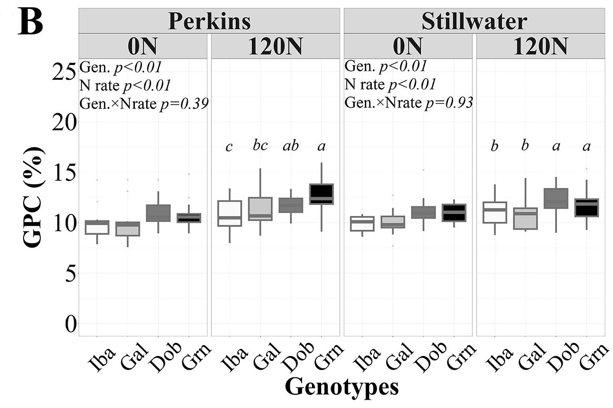The grain protein concentration data comparison between Perkins and Stillwater