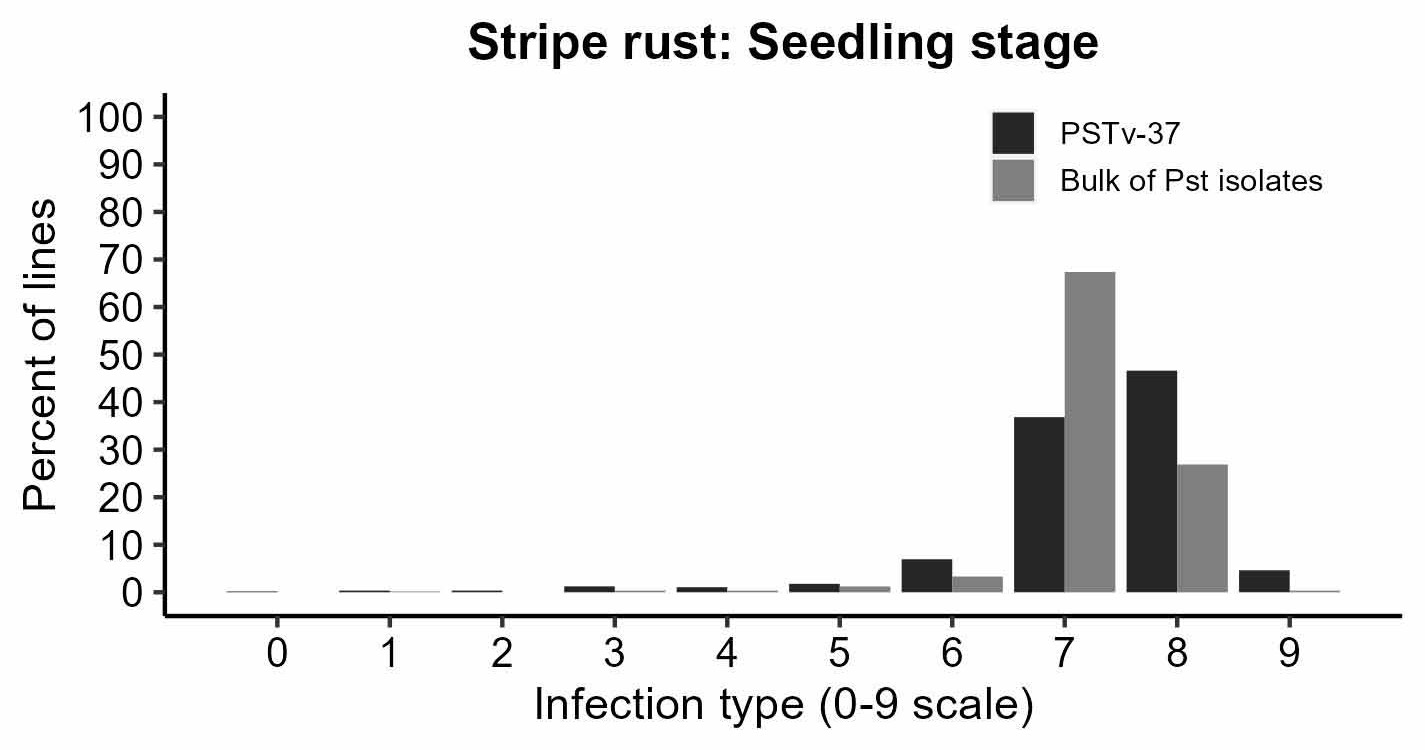 Data for Leaf Rust Seedling Stage.