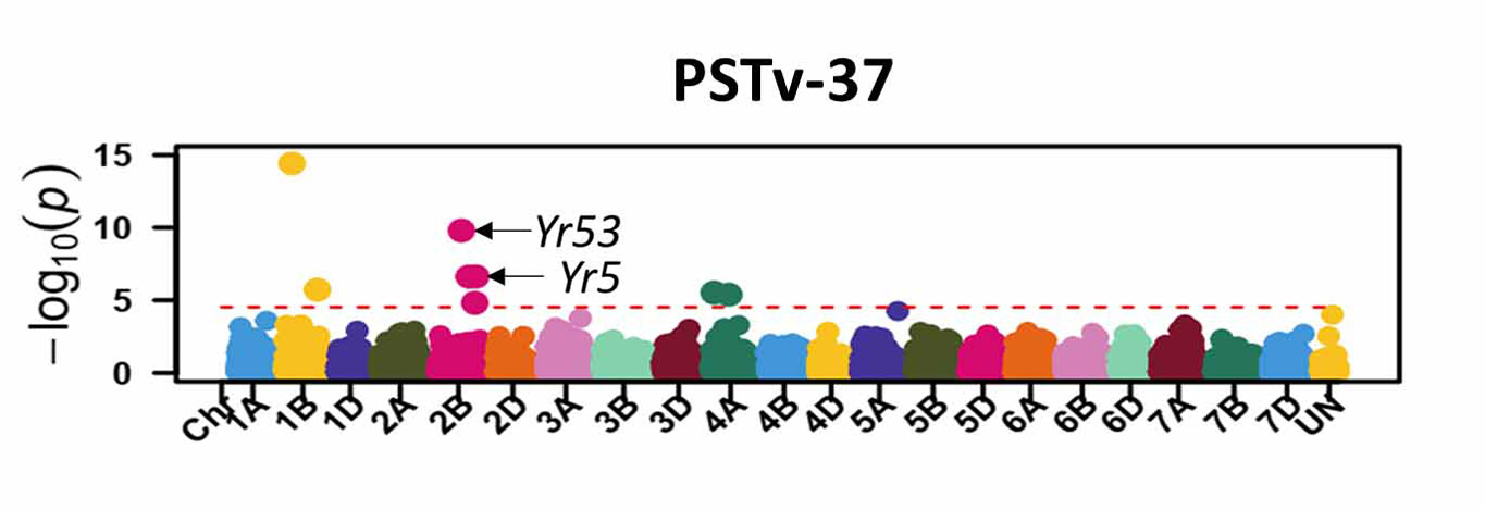 Data for PSTv-37.