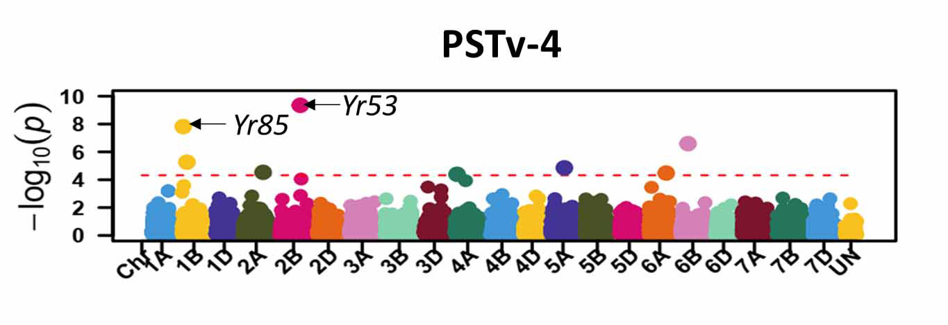 Data for PSTv-4.