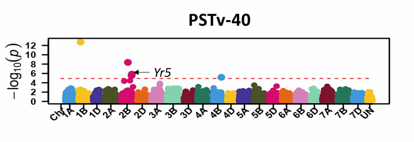 Data for PSTv-40.