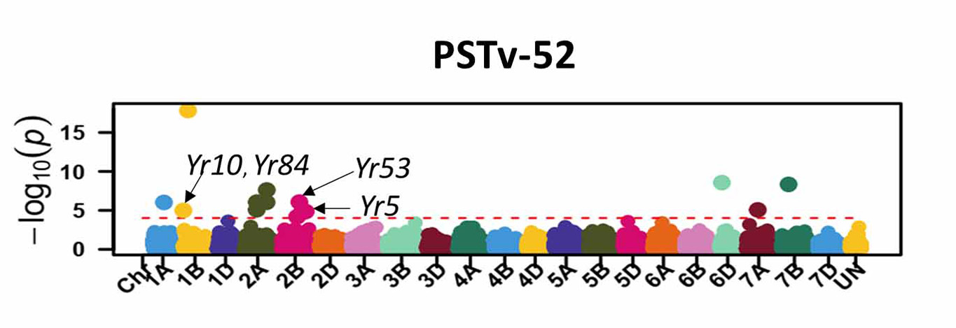 Data for PSTv-52.