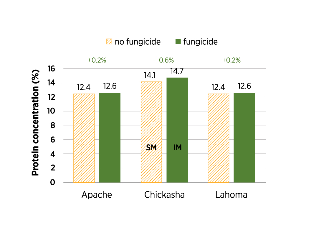 Wheat protein concentration comparisons for fungicide vs. non fungicide treatment comparisons 