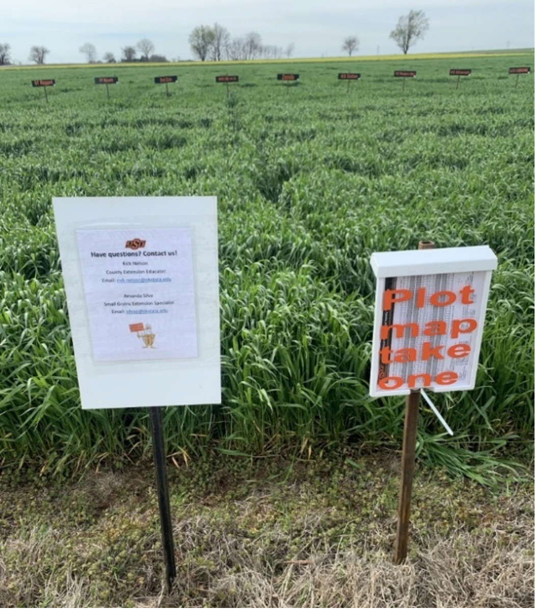 On-site field maps