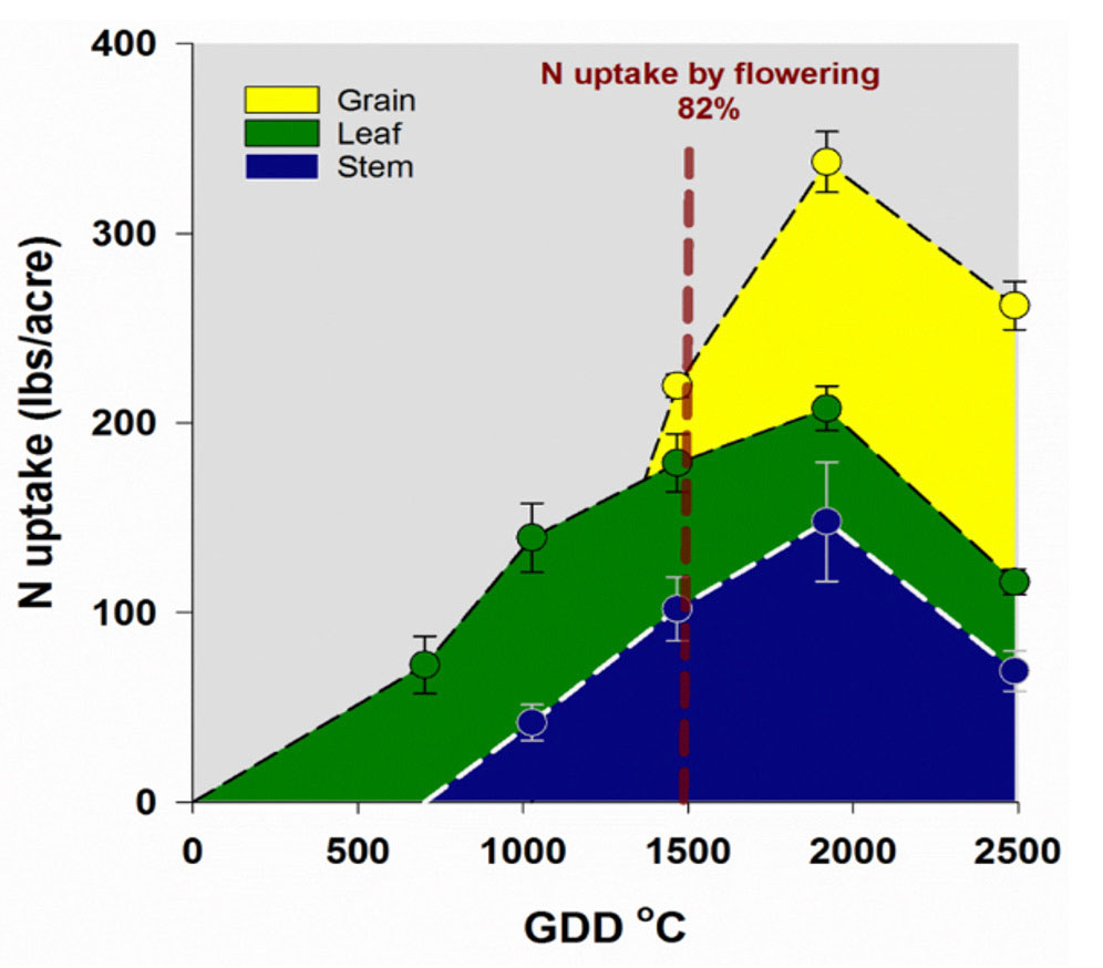 A chart of Nitrogen uptake of winter wheat from planting to harvest.