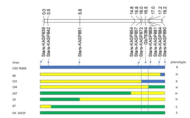 Genetic analysis
