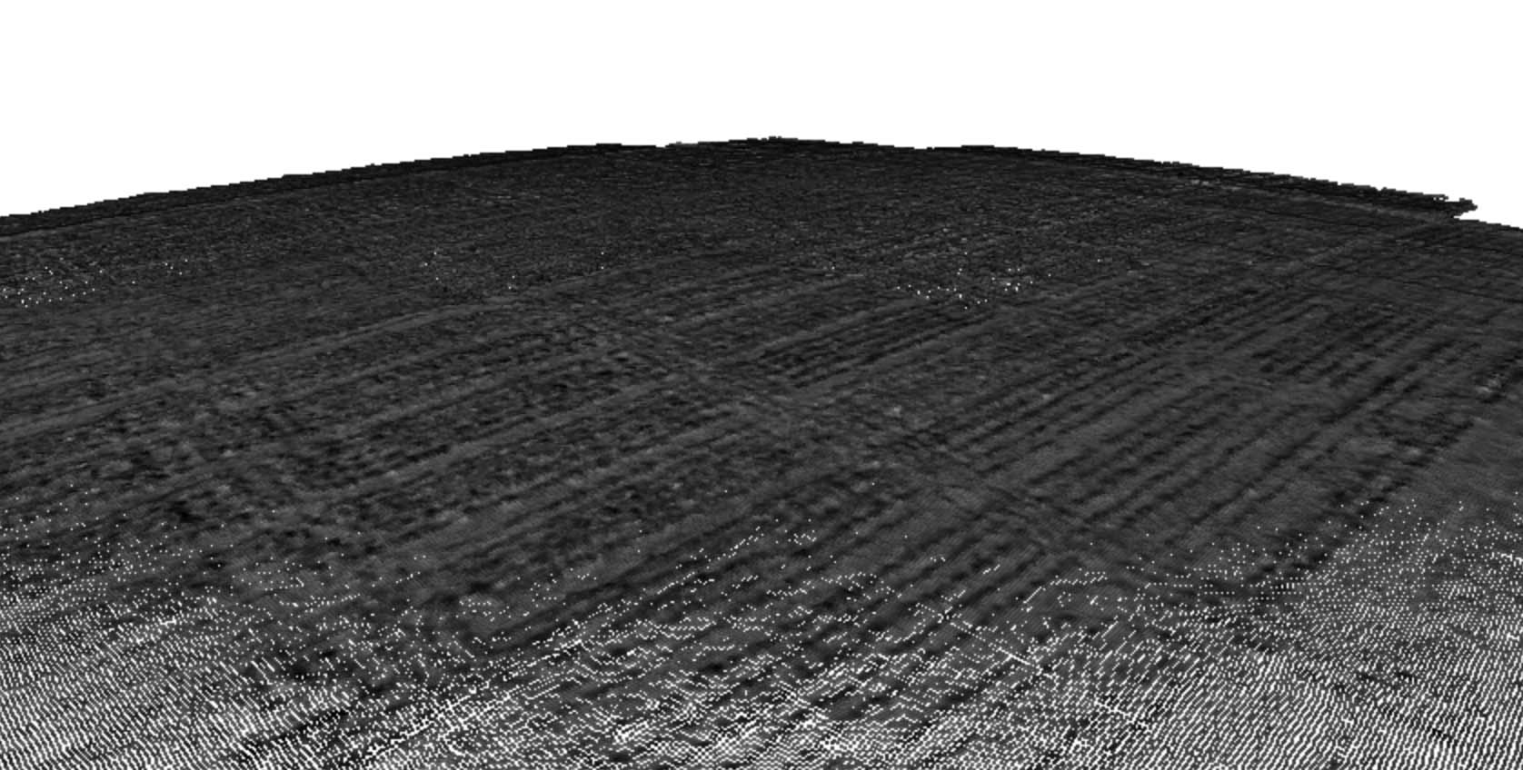 Three-dimensional point cloud of the field trial 